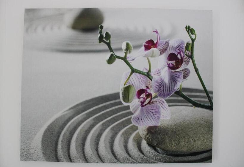 ویلای 2 خوابه, Majesty Palm