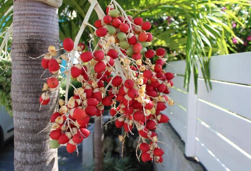 سوئیت با وان آب گرم, Majesty Palm