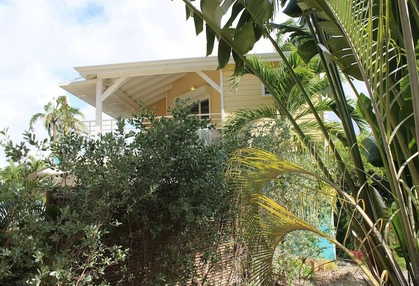 ویلای 2 خوابه, Majesty Palm