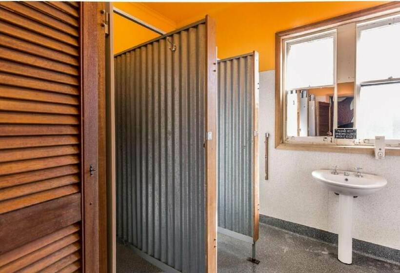 ルームシェアのワンベッド, The Pickled Frog