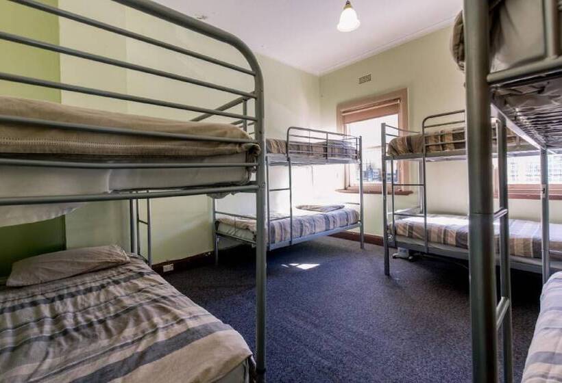 ルームシェアのワンベッド, The Pickled Frog