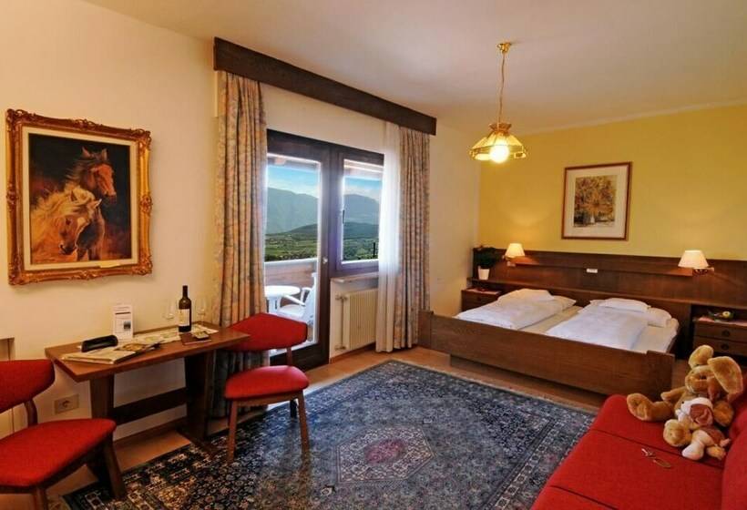 חדר קומפורט, Steinegger