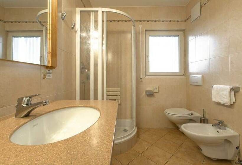 חדר סטנדרט, Steinegger