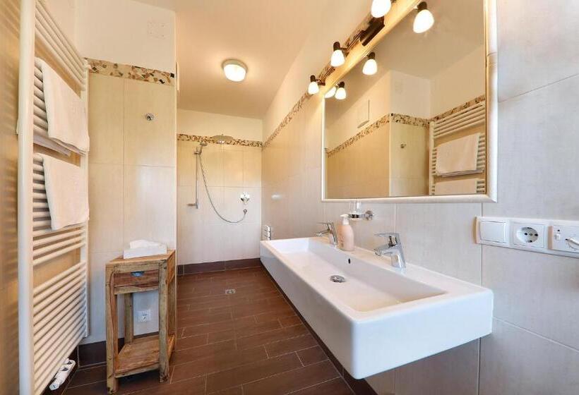 חדר קומפורט, Steinegger