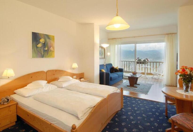 חדר סופריור, Steinegger