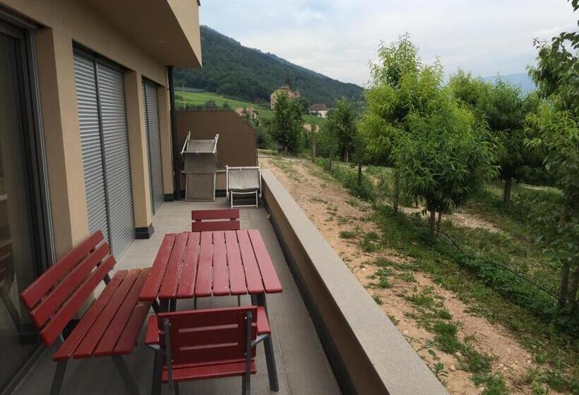 דירת 2 חדרים עם טרסה, Steinegger