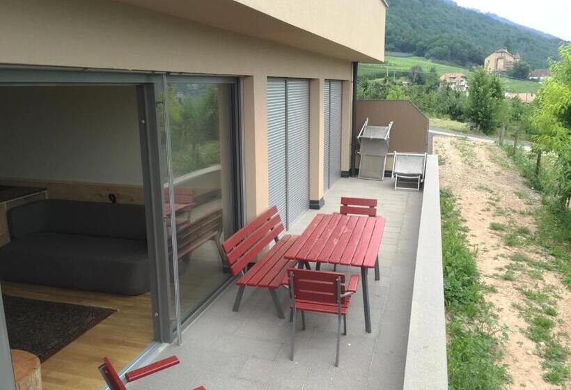 דירת 2 חדרים עם טרסה, Steinegger