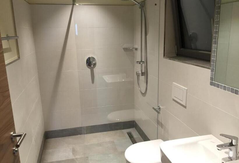 דירת 2 חדרים עם טרסה, Steinegger