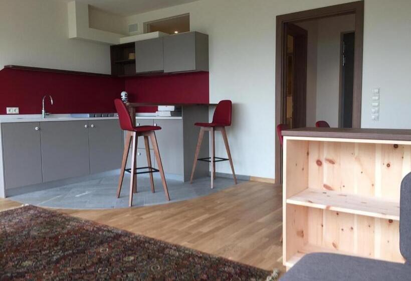 דירת 2 חדרים עם טרסה, Steinegger