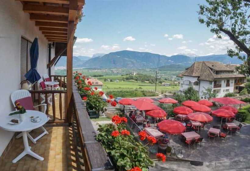 חדר סטנדרט, Steinegger