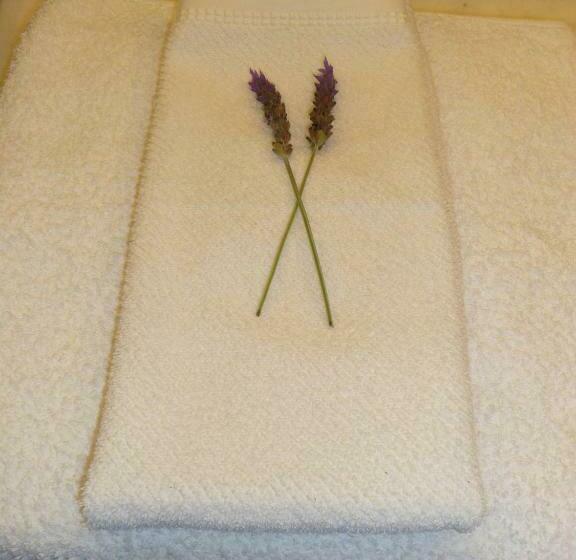 غرفة قياسية, Casa De Coria