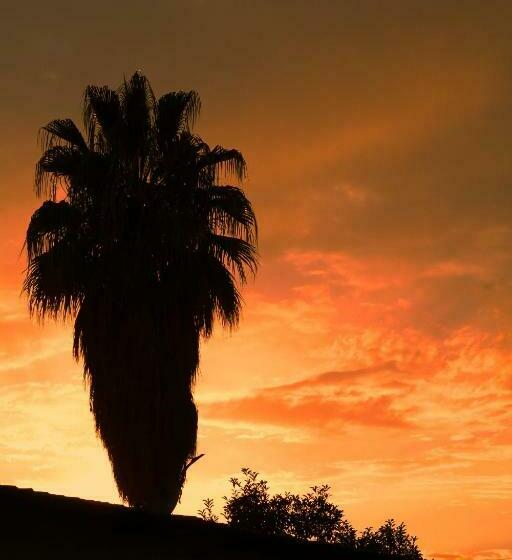 غرفة قياسية, Casa De Coria