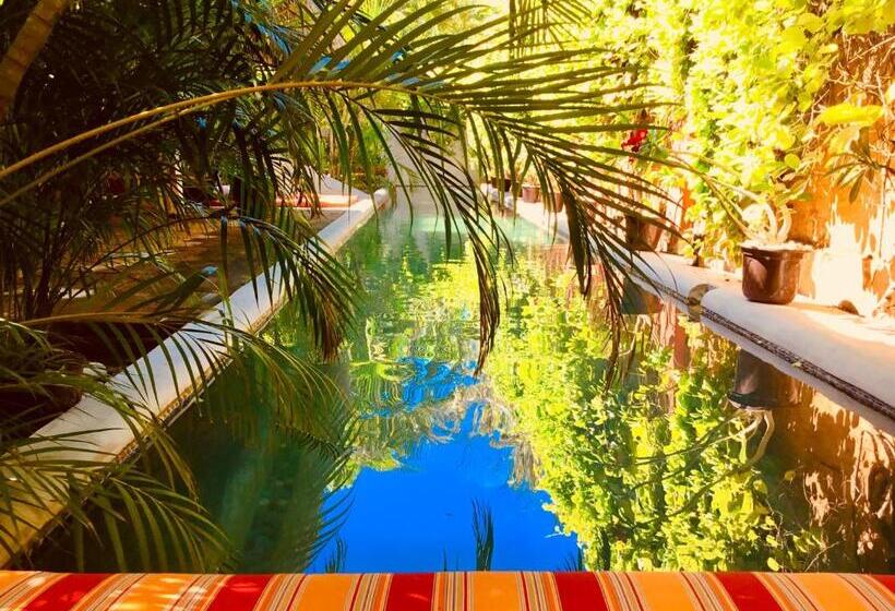 غرفة قياسية مطلّة علي حمام السباحة, Hacienda La Rusa