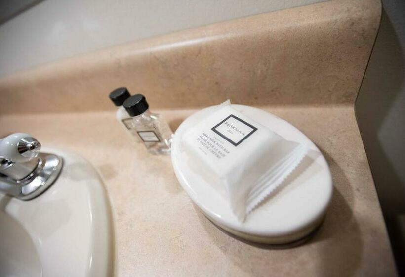 غرفة قياسية, Blue Spruce Motel