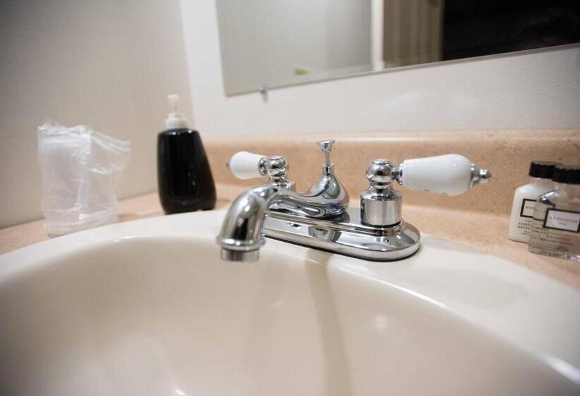 غرفة قياسية, Blue Spruce Motel