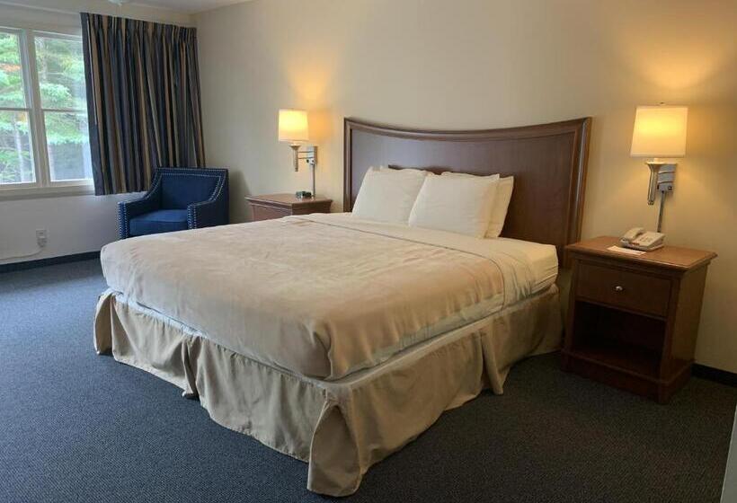 غرفة قياسية سرير كينج, High Seas Motel