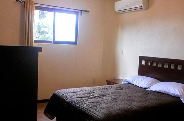 スタンダード４人部屋, El Cafetalero