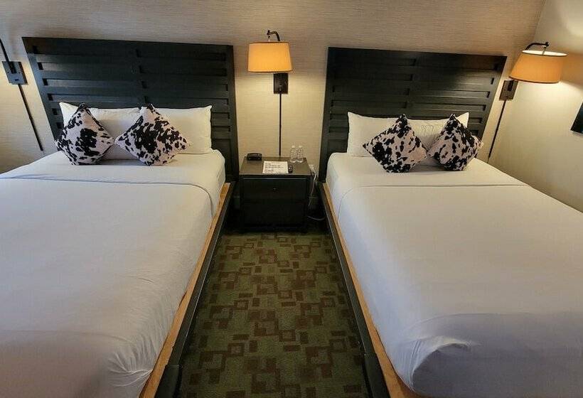 Номер Deluxe, Hi Ho Contactless Check In