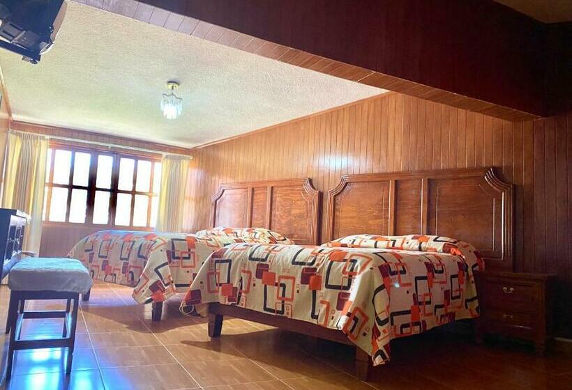 Номер Стандарт, Posada Castillo