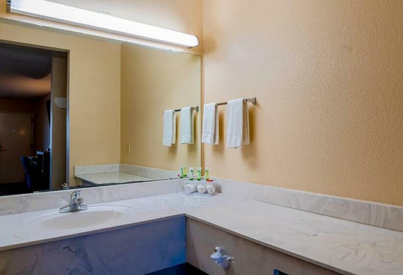 스탠다드 룸 킹사이즈 침대, Regency Inn & Suites