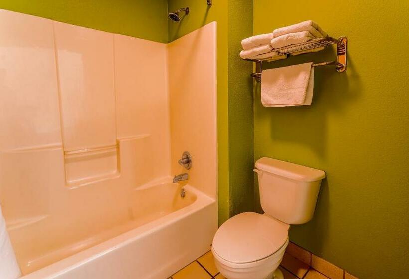 스탠다드 룸 킹사이즈 침대, Regency Inn & Suites