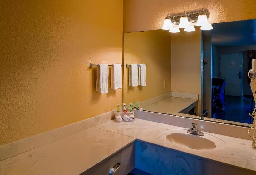 스탠다드 룸, Regency Inn & Suites