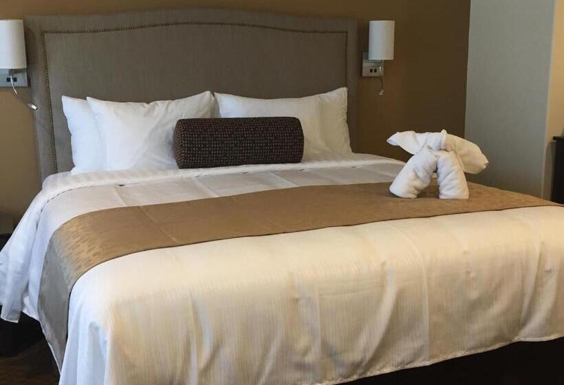 스위트 킹사이즈 침대, Rest, A Boutique