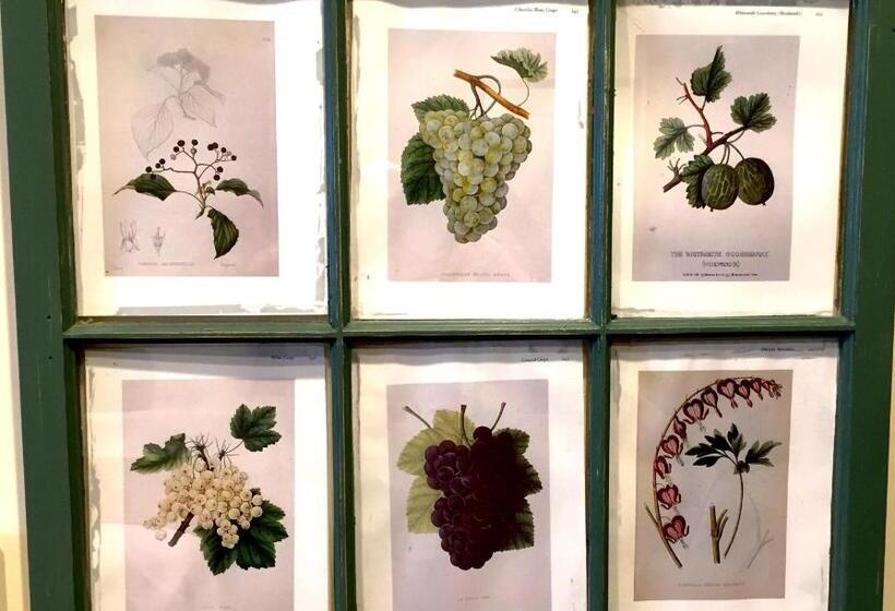 スーペリアールーム, Rest, A Boutique