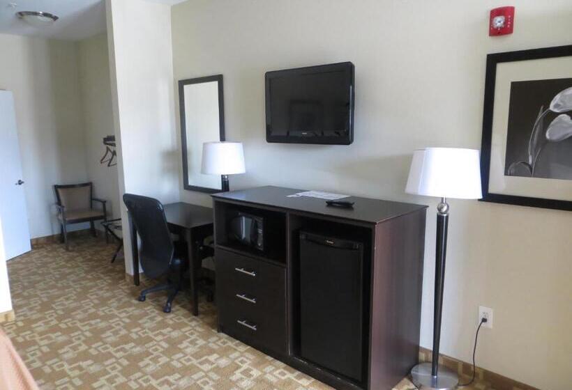 غرفه قياسيه سريرين مزدوجين, Airway Inn   Iah Airport