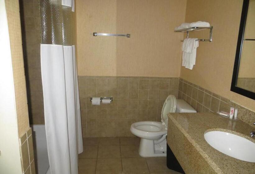 Standart Oda, Airway Inn   Iah Airport