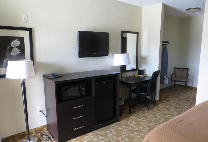 Standart Oda, Airway Inn   Iah Airport
