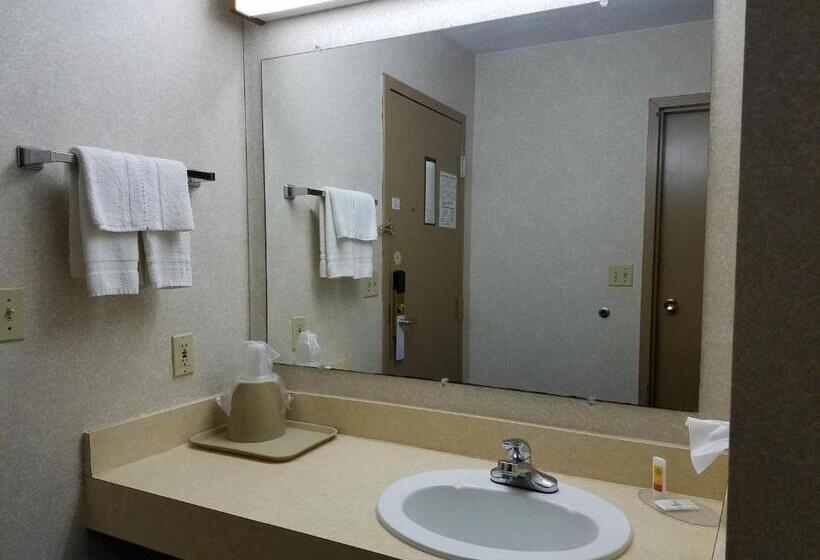 غرفة قياسية سرير كينج, Rodeway Inn Blair