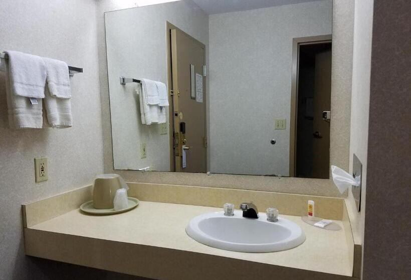 غرفة قياسية, Rodeway Inn Blair