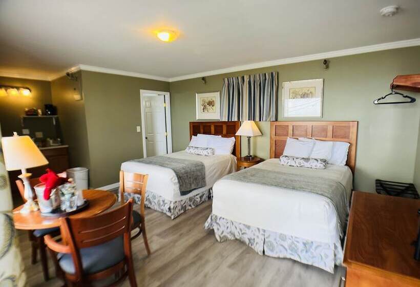 غرفه قياسيه سريرين مزدوجين, Sunrise Motel