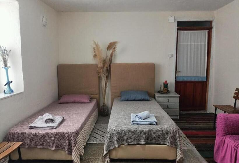 ファミリールーム, Portakal çiçeği