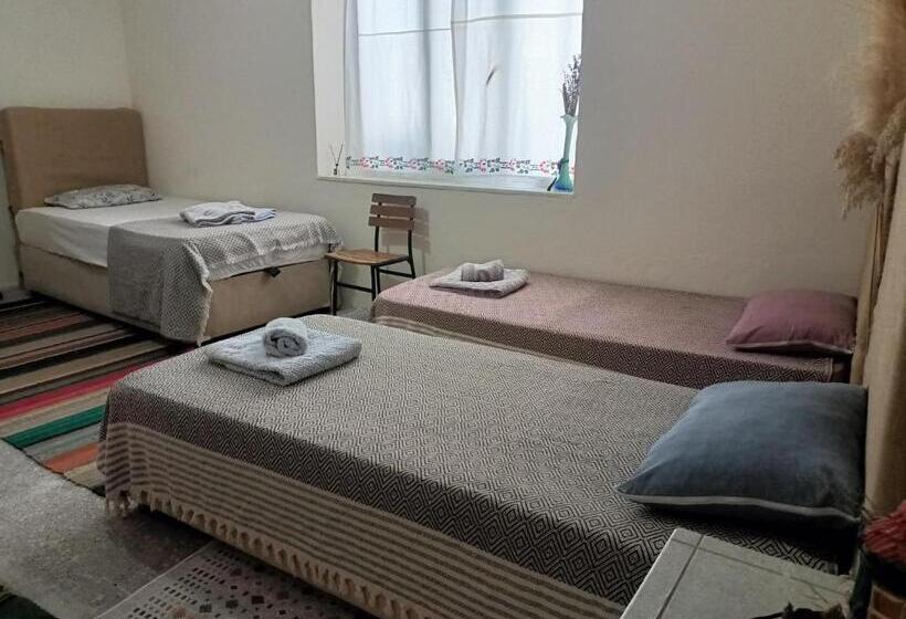 ファミリールーム, Portakal çiçeği