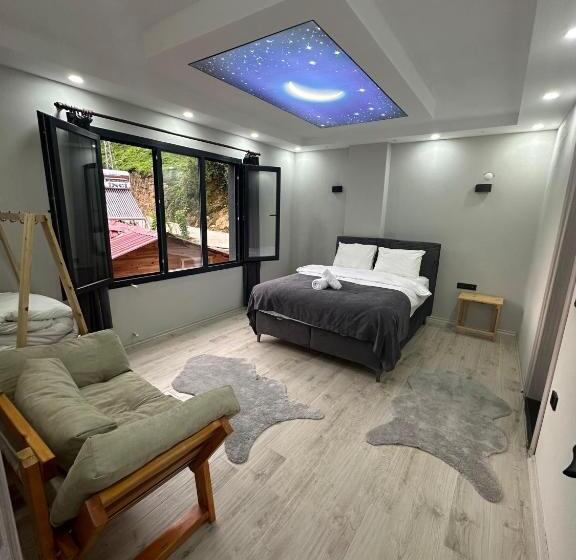 جناح ديلوكس سرير كينج, Cayirci Konak Sui̇t Apart