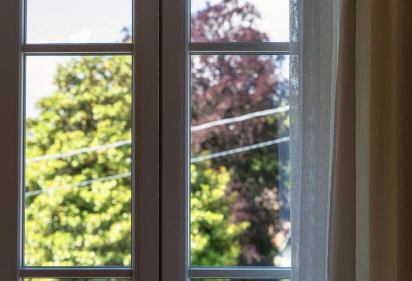 غرفة قياسية, La Vignetta Cernobbio