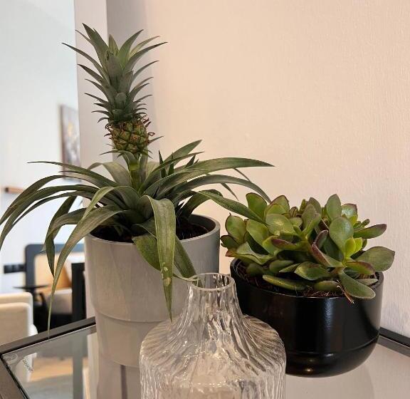 חדר סטודיו סטנדרד, Modern Stay I Cosy & Central Apartments