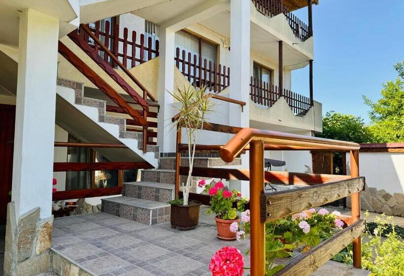 Triple Room Sea View, къща за гости чайка