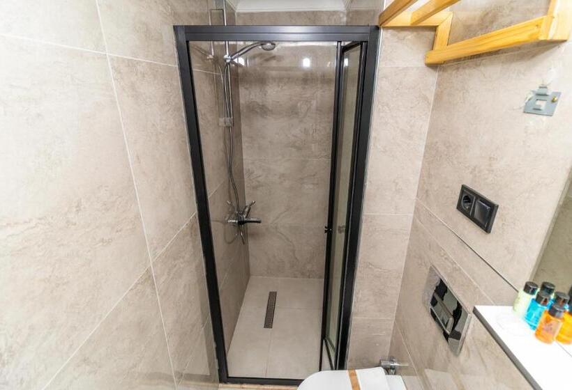 اتاق استاندارد, Wond House