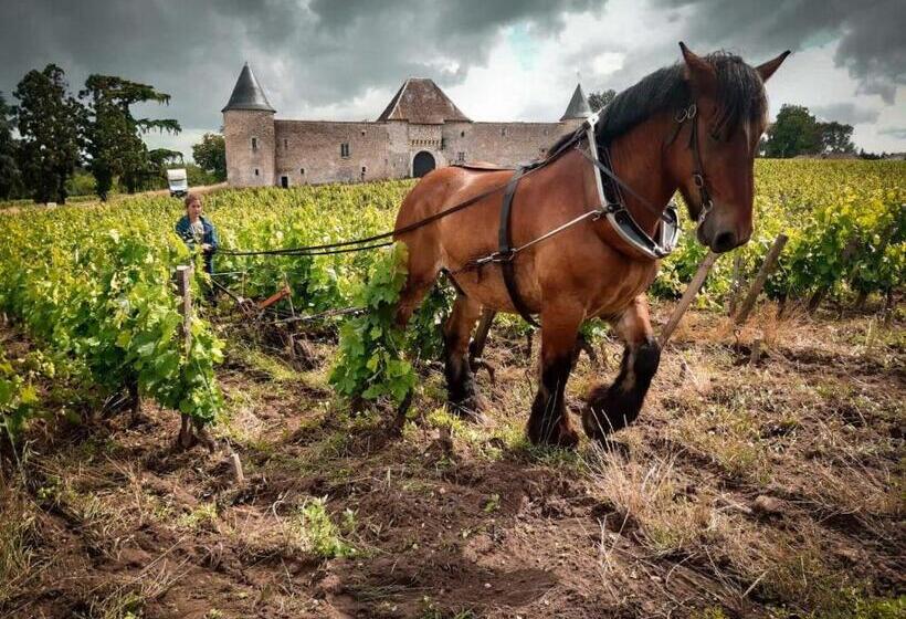 Номер Стандарт Вид на Сад, Chateau Eck