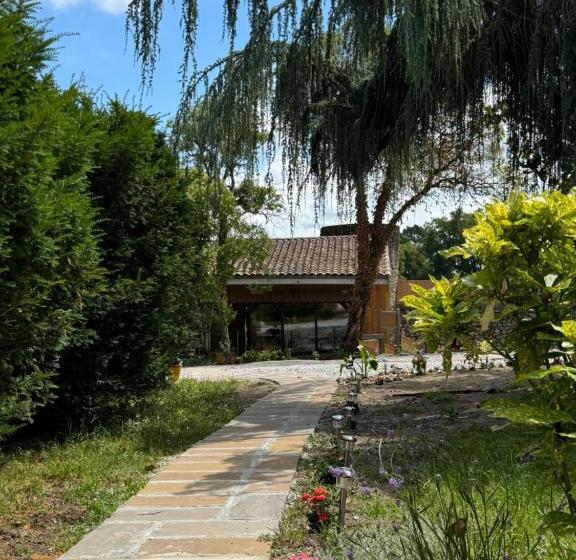 Люкс Вид на Сад, Chateau Eck