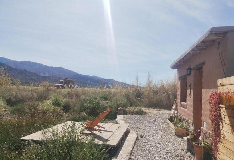 Номер Стандарт, Las Ranas