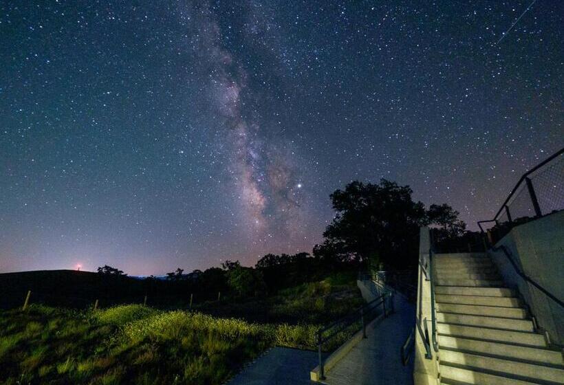 חדר סטנדרט, Campusphi