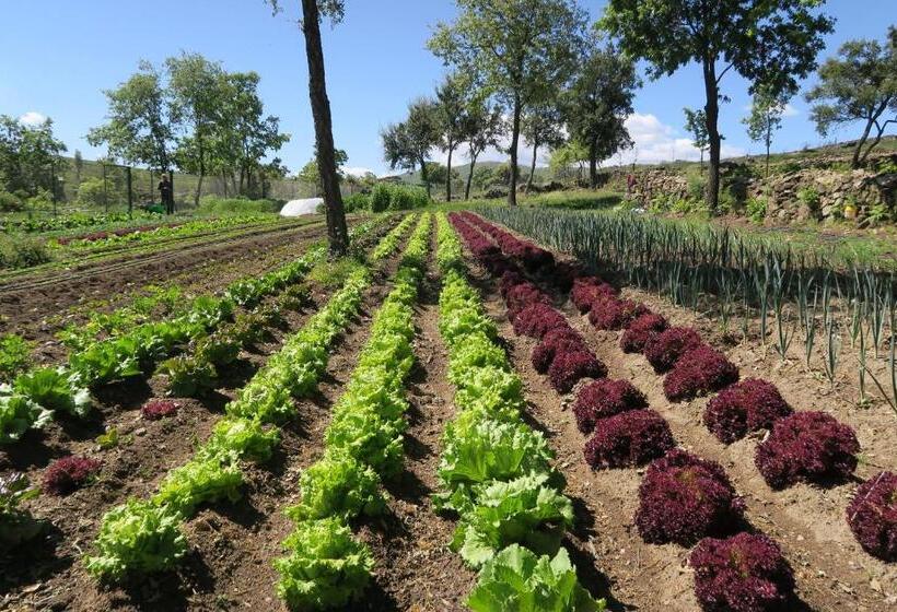 חדר משפתחתי סופריור, Campusphi