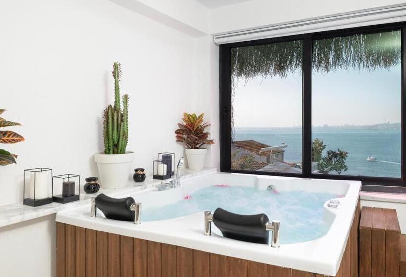 Президентский Люкс, Hillora Hotel Buyukada