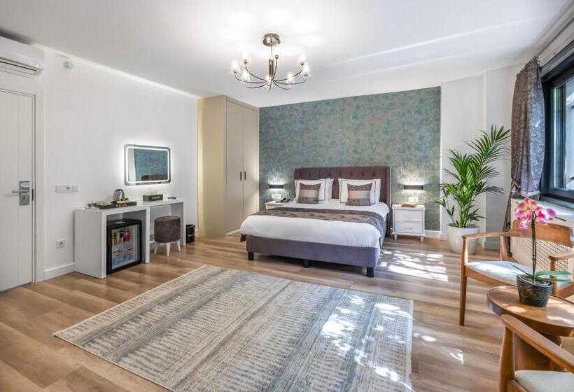 Номер Superior, Hillora Hotel Buyukada