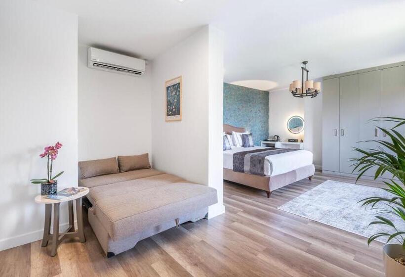 Полулюкс Вид на Море, Hillora Hotel Buyukada