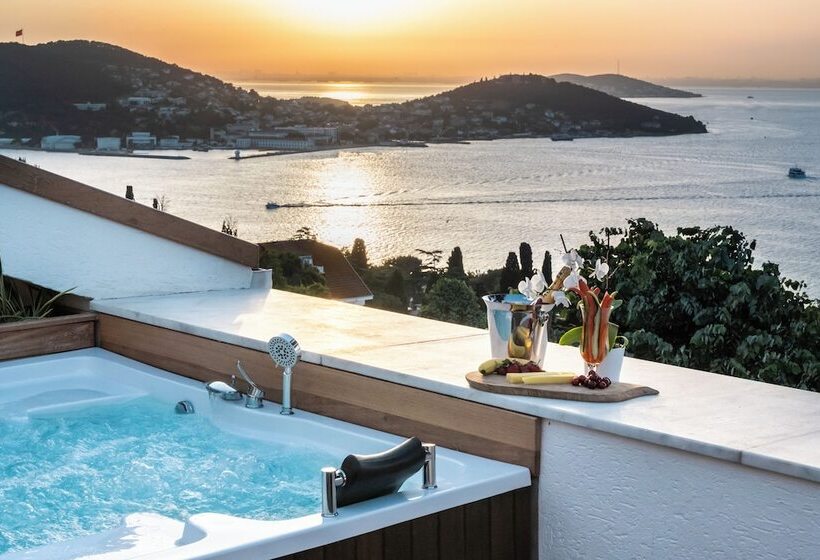 Президентский Люкс, Hillora Hotel Buyukada